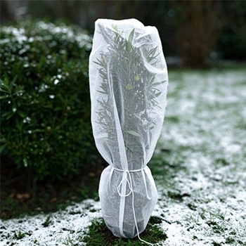 Zimska zaštita od mraza