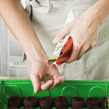 Povrtne sjemenke za rani proljetni uzgoj