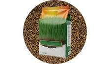 Profesionalno sjeme trave