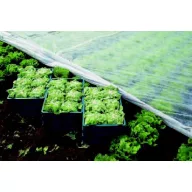 Voal folija 10,50x100m 19 g/m2