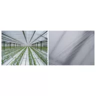 Folija TVK 12x100m 0,06 Unutarnja UV bez kapanja S1BC