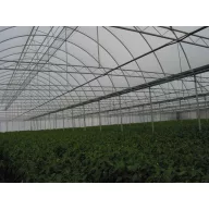 Folija TVK 12x60 m 0,15 Natur SON