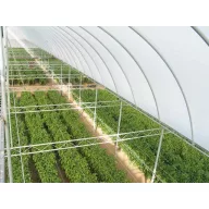 Folija TVK 12x60m 0,15 UV 2 godine S2N