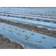 Folija TVK 4,2x80m 0,12 Crna TOAFR