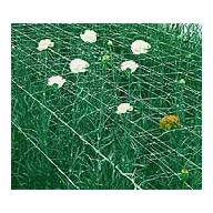 Mreža za držanje biljaka 12,5x12,5x500 m (širina 1 m)