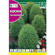 Ljetna cipresa (Kochia tricophylla) Rocalba 8 g