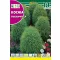 Ljetna cipresa (Kochia tricophylla) Rocalba 8 g