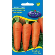 Srednje rana mrkva (zlatna) Chantenay 4 g