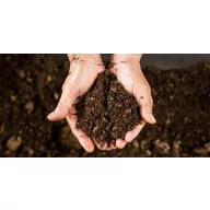 Ispitivanje uzorka tla