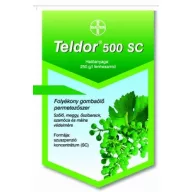Teldor 500 SC 1 l
