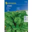 Špinat Matador Kiepenkerl za 6–8 cm