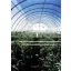 Folija TVK 16x45m 0,15 UV 2-godišnja S2N