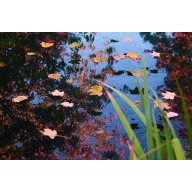 Mreža za lišće 3x6 m