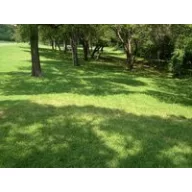 Sjeme za travu ELKA mješavina za obnovu 10 kg