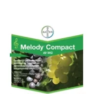 Melody Kompakt 49 WG 15 g
