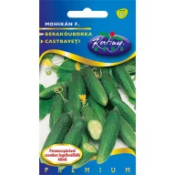 Krastavac (za konzerviranje) Mohikan F1 1 g