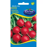 Rotkvica mjesečna divovska maslac (Reisenbutter) 3g