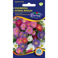 Aster patuljasti grmolik mješavina boja 1g