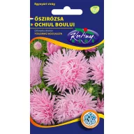 Aster igličastih latica ružičast 1 g