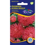 Jesenska krizantema igličastih latica crvena 1 g