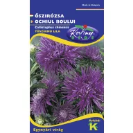 Jesenski aster igličastih latica ljubičaste/plave 1 g