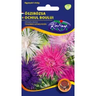 Aster igličastih latica mješavina boja 1 g