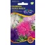 Aster igličastih latica mješavina boja 1 g