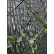 Apácarács Classic metalna rešetka smeđa 0,3x1,2 m