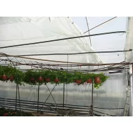 Raschel mreža Dupla 7,5x50 m 50 g/m2 bijela (45%)