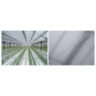 Folija TVK 12x100m 0,09 Unutarnja UV bez kapanja S1BC