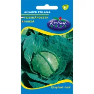 Glavati kupus Amager 2 g