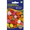 Portulaka punocvjetna mješavina boja 0,5 g