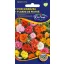 Portulaka punocvjetna mješavina boja 0,5 g
