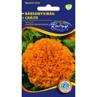 Baršunica niskog rasta velikocvjetna (narančasta) 1 g