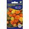 Sitnocvjetni tagetes, mješavina boja, 1 g