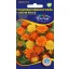 Sitnocvjetni tagetes, mješavina boja, 1 g