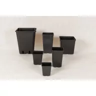 Plastična kvadratna saksija 11x11x21,5 V cm