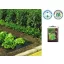 Folija za prekrivanje tla Terrafilm 1,4x10 m