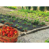 Folija za prekrivanje tla za jagode Fresafilm 1,4x10 m