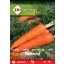 Mrkva Rekord 5g ZKI