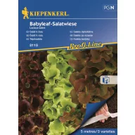   Sjetvena traka mješavina salate Salatwiese 4x2,5 m Kiepenkerl