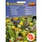 Mješavina mirisnog cvijeća 50 sjemenki Kiepenkerl