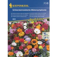 Cvjetna simfonija otporna na puževe za 2 m2 Kiepenkerl