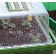 Mini staklenik s grijanjem Heating Grow 39x25x20 cm