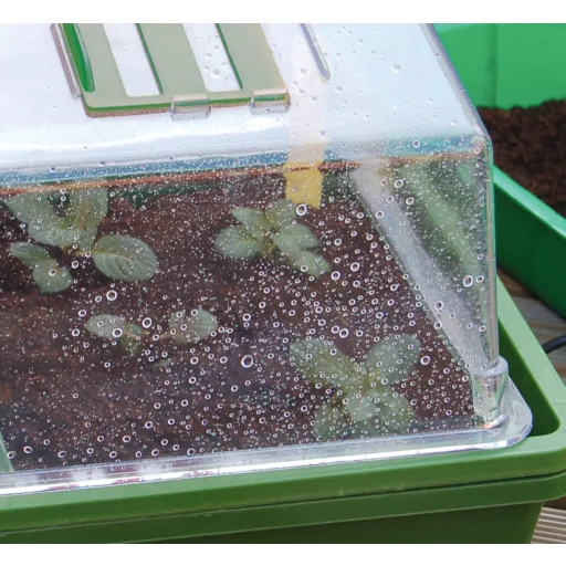 Mini staklenik s grijanjem Heating Grow 39x25x20 cm