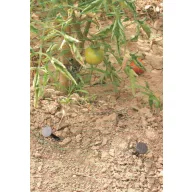   Ubodni klin za mrežu protiv krtica, za pričvršćivanje geotekstila 12,5 cm Nort Spike 20 kom