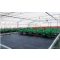 Agrotekstila crna 100 g/m2 2,1x25 m