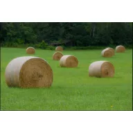 Sjeme trave livadska mješavina Greenland 25 kg