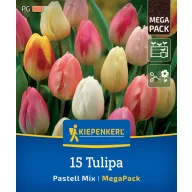 Lukovice tulipana Pastel mix Megapack Kiepenkerl 15 kom