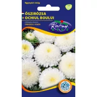 Astr Prinzess bijeli 1 g